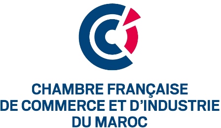 Essai logo CFCIM vertical